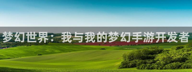 恩佐娱乐平台正规吗安全吗：梦幻世界：我与我的梦幻手游开发者