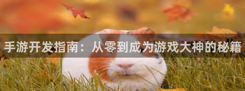 恩佐娱乐平台正规吗安全吗