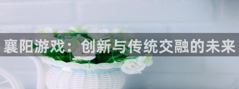 恩佐娱乐1：襄阳游戏：创新与传统交融的未来