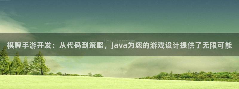 恩佐娱乐：棋牌手游开发：从代码到策略，Java为您的游戏设计