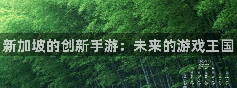 恩佐娱乐手机登录：新加坡的创新手游：未来的游戏王国