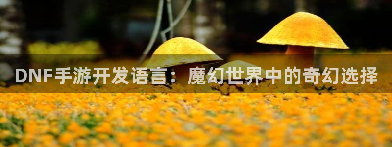 恩佐娱乐官方注册：DNF手游开发语言：魔幻世界中的奇幻选择