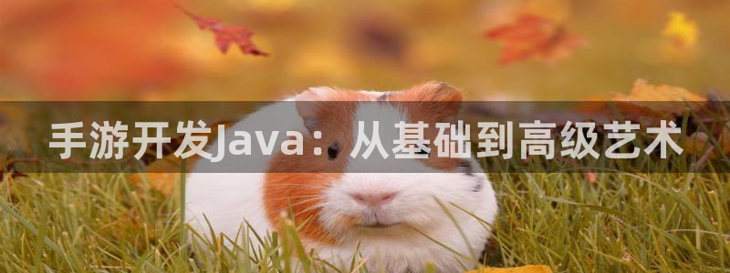 恩佐娱乐手机登录：手游开发Java：从基础到高级艺术