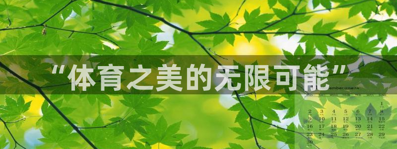 必一运动bsport体育