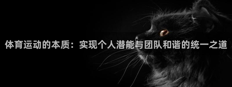 必一运动体育