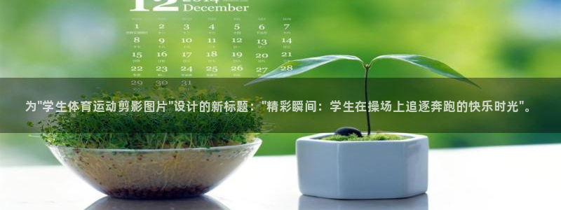 必一运动bsport体育