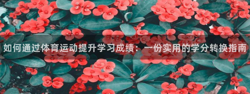 必一运动官网入口