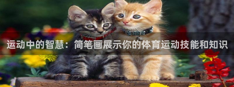 必一运动官网入口