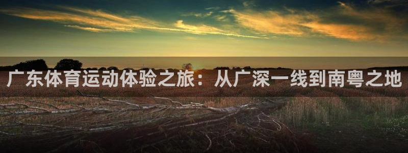 必一运动：广东体育运动体验之旅：从广深一线到南粤之地