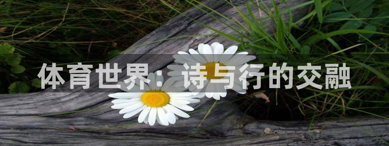 必一运动体育官网入口：体育世界：诗与行的交融