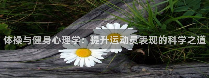 必一运动官网入口