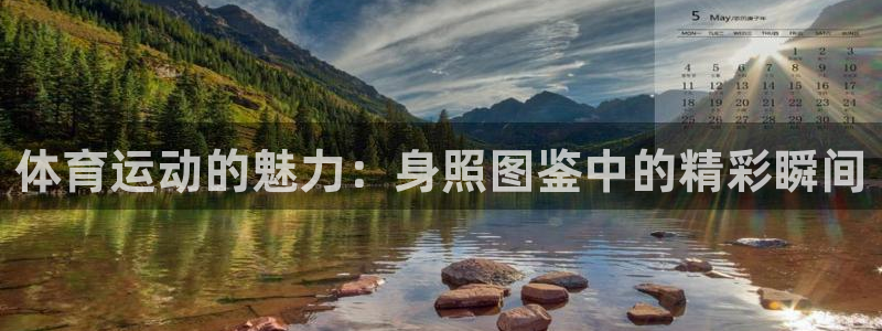 必一运动体育：体育运动的魅力：身照图鉴中的精彩瞬间