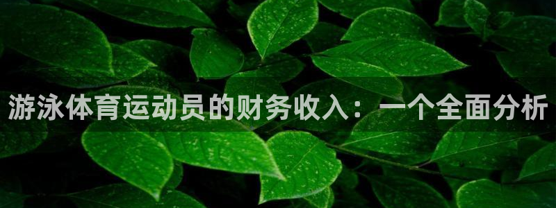 b体育必一运动官网