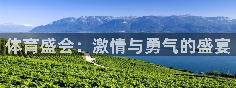 bsports必一运动：体育盛会：激情与勇气的盛宴